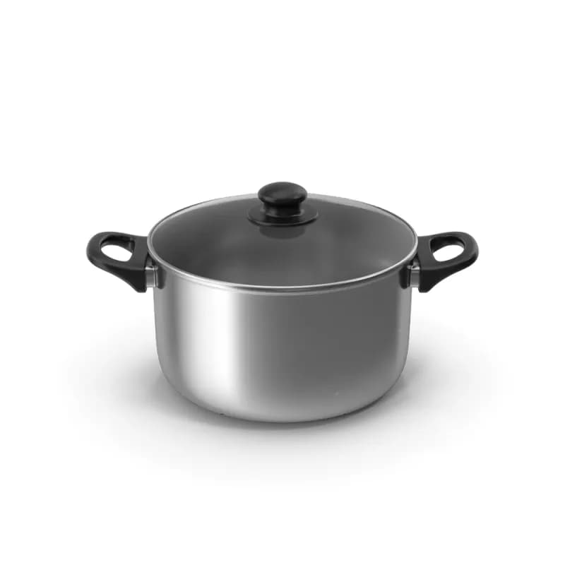 Silver Pot With Glass Cap
